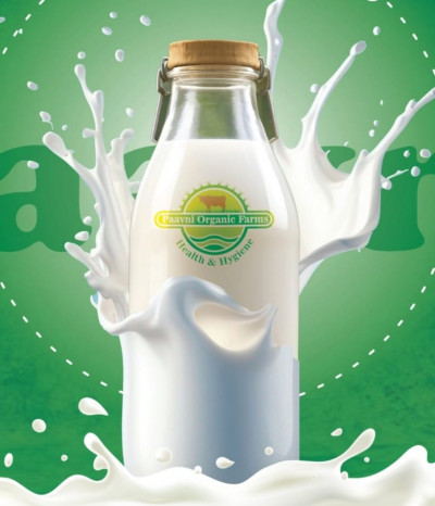 A2 Cow Milk 500ml (Weekly Trial Pack A2)